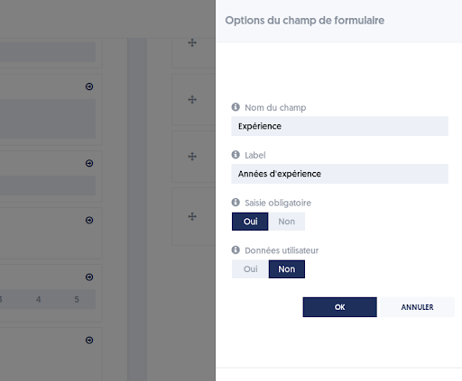 Additional Input Field Options