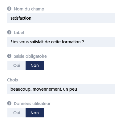 Options supplémentaires des champs de saisie